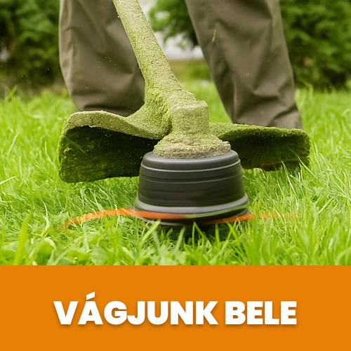 Barkácsoázis
