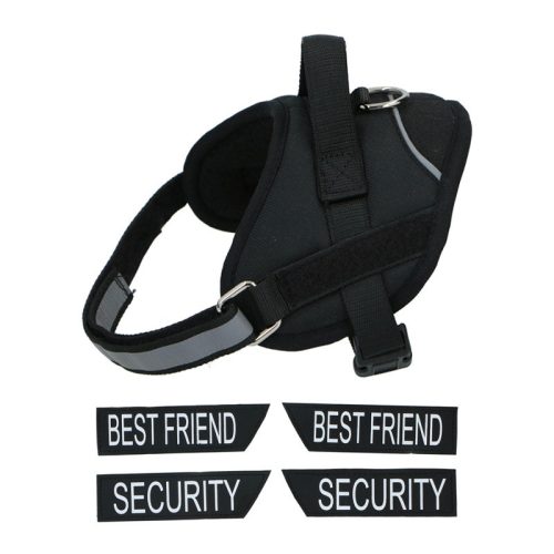 Kutyahám M 50-62cm Pet Treatment