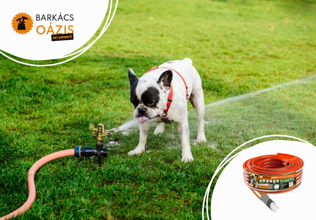 Locsolótömlők – így lesz gyorsabb, kényelmesebb és szebb a kerted tavasszal